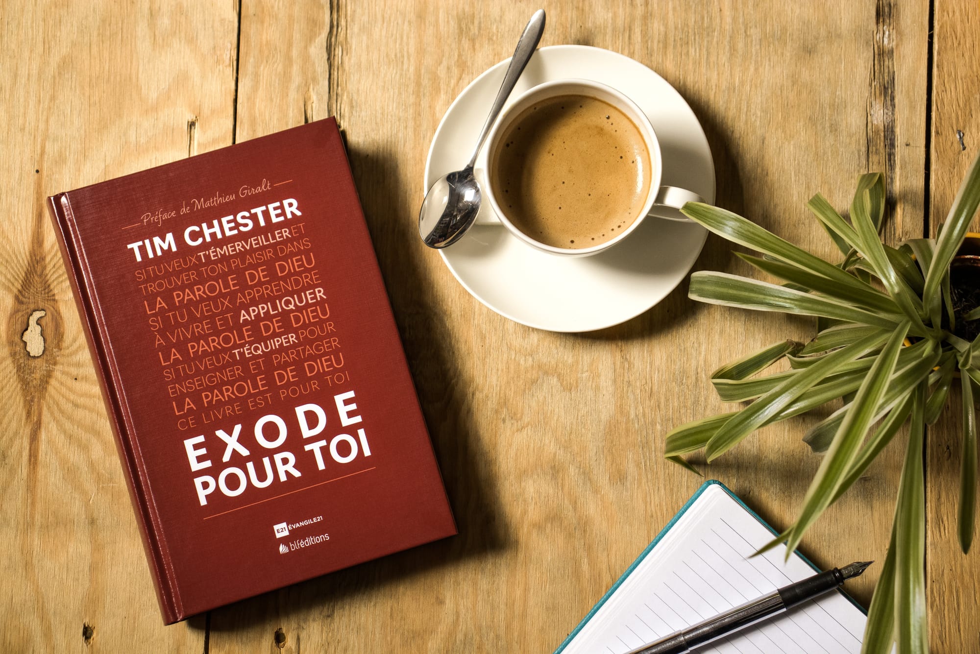 Nouveau livre gratuit: octobre 2024